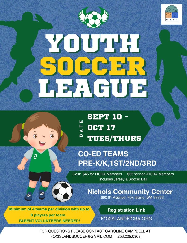 Soccer League 4